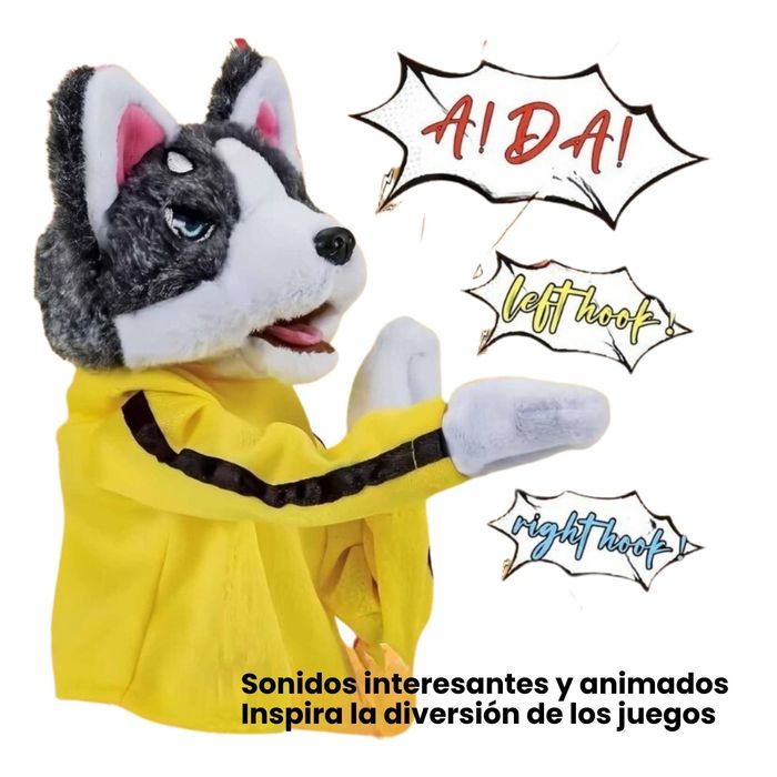 Husky Boxeador