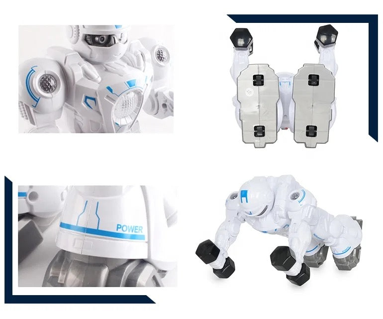 Robot Gimnasta