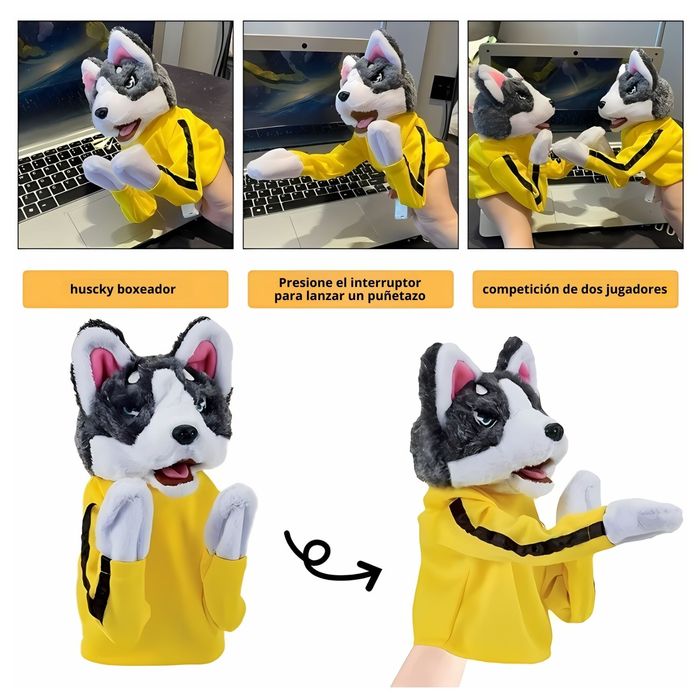 Husky Boxeador